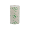 MICRON SOLO ROLL GREEN VILEDA  1/1 160086
