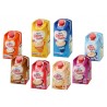 COFFEE MATE LIQUIDO 530G ML 1/1 204988