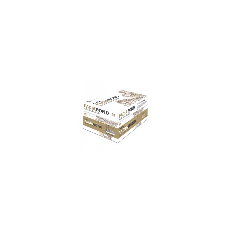 Caja de Papel Facia Bond Premium FBC5000 Carta Blanco 75 gr 10/500 Hojas c/u 10671