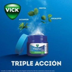 Unguento Vick VapoRub 50 Gm 1/1 012468