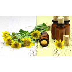 Arnica Montana Cutaneo 28 Gm Pomada 1/1 161601