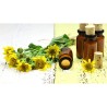 Arnica Montana Cutaneo 28 Gm Pomada 1/1 161601