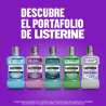 Enjuague Bucal Listerine Control Antisarro 250 Ml 1/1 288497