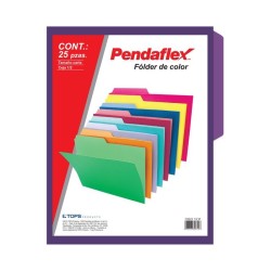 Folder Violeta Tamaño Carta Pendaflex 25 Piezas 1/25 61419