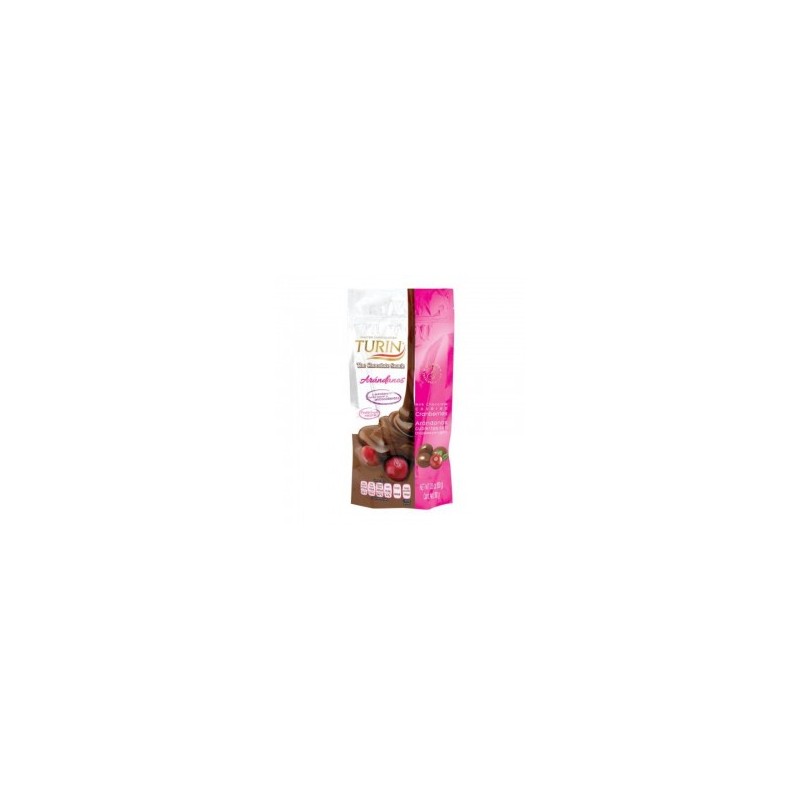 ARANDANO CUBIERTO DE CHOCOLATE TURIN 650G 1/1 952732