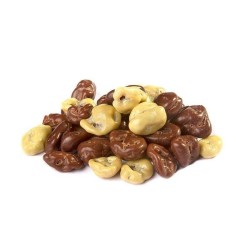 ARANDANO CUBIERTO DE CHOCOLATE TURIN 650G 1/1 952732
