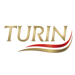 ARANDANO CUBIERTO DE CHOCOLATE TURIN 650G 1/1 952732