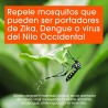 Repelente de insectos Off! Family en Aerosol 170 Gm 1/1 292720