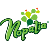 CHURRITOS DE NOPAL 750 GMS NOPALIA 1/1 119640