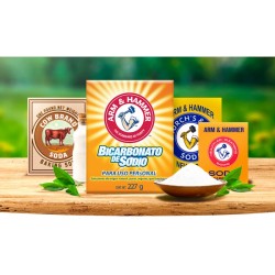 Bicarbonato de Sodio Arm and Hammer Cocina Desodorante y Limpieza 227 g 1/1 001130
